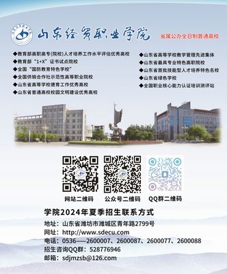 山東經貿職業學院2024年招生計劃 經濟貿易咨詢專業解析